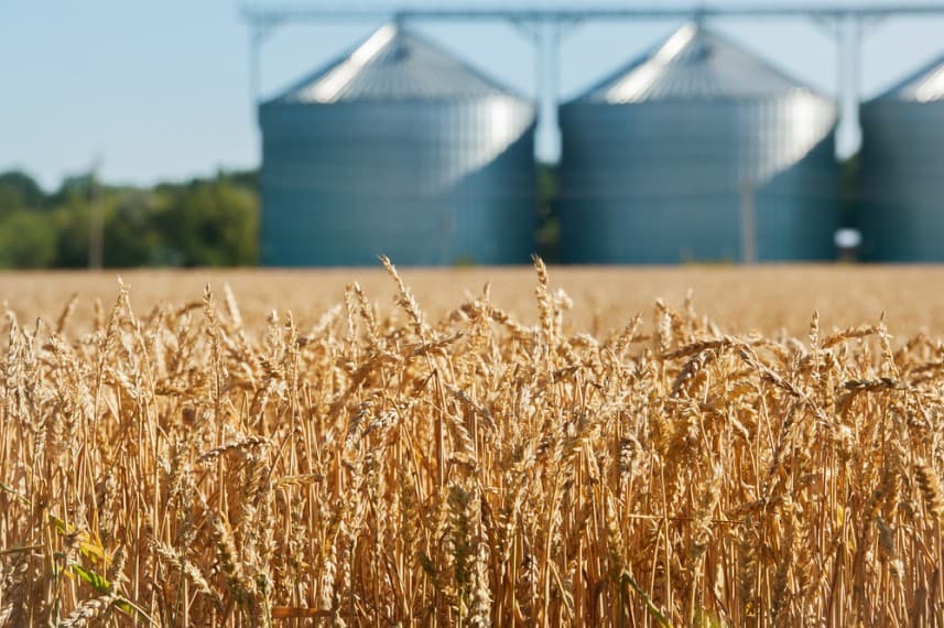 LPG Gas and Energy Efficiency in Agriculture | Industry Update